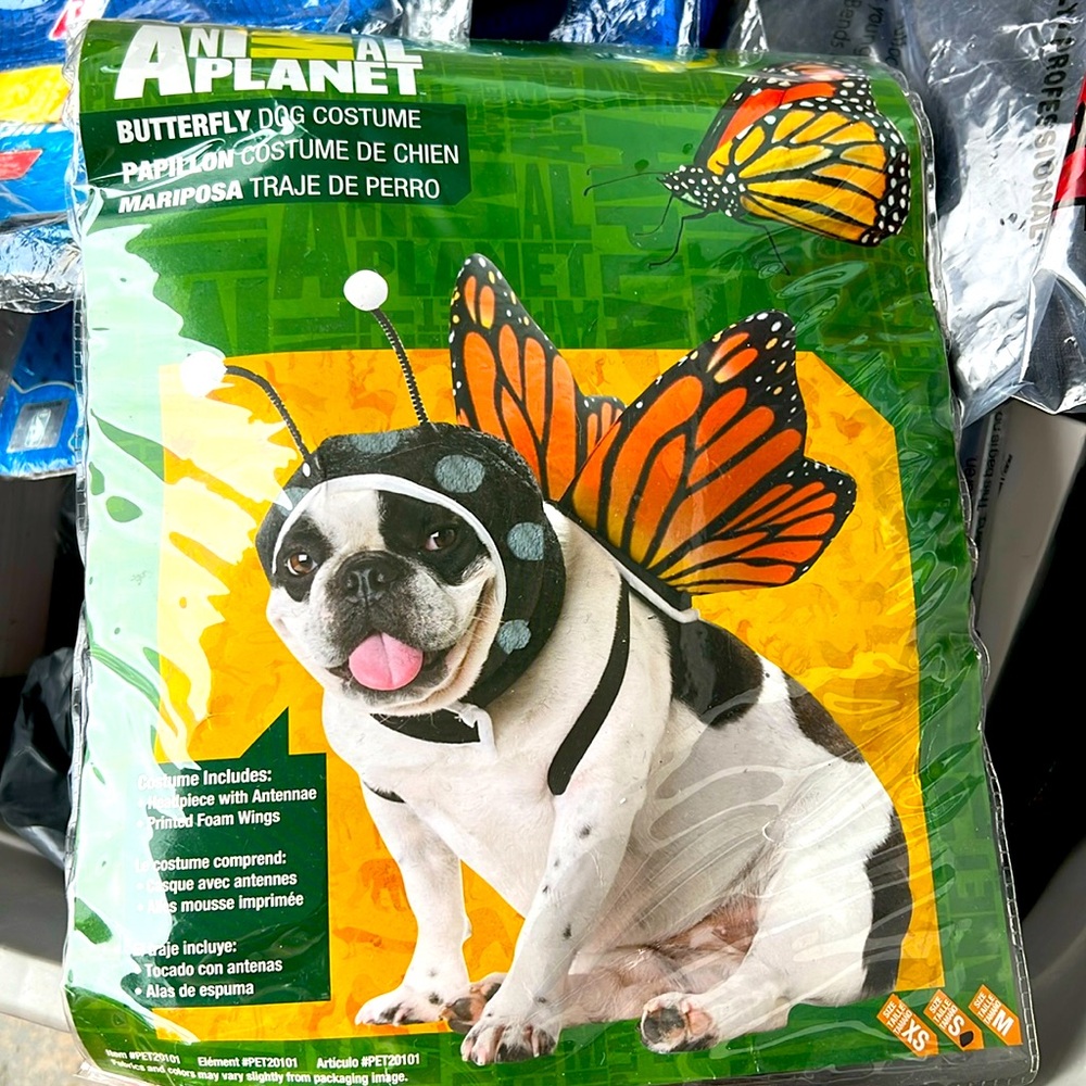 Butterfly dog costume S